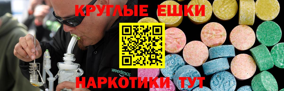 МЕФ Новосибирск