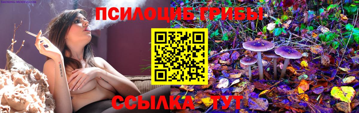 Псилоцибиновые грибы мицелий  Вход с VPN  Новосибирск 