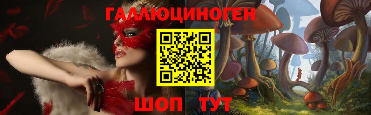 Псилоцибиновые грибы прущие грибы Новосибирск